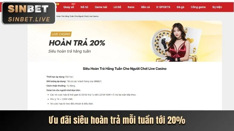 Hoàn trả hàng ngày aa88 bet